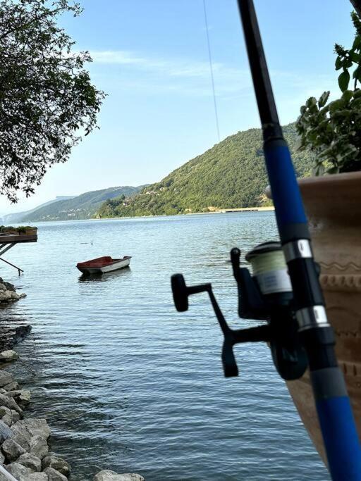 Dunavska Vila Milosavljevic Donji Milanovac Bagian luar foto