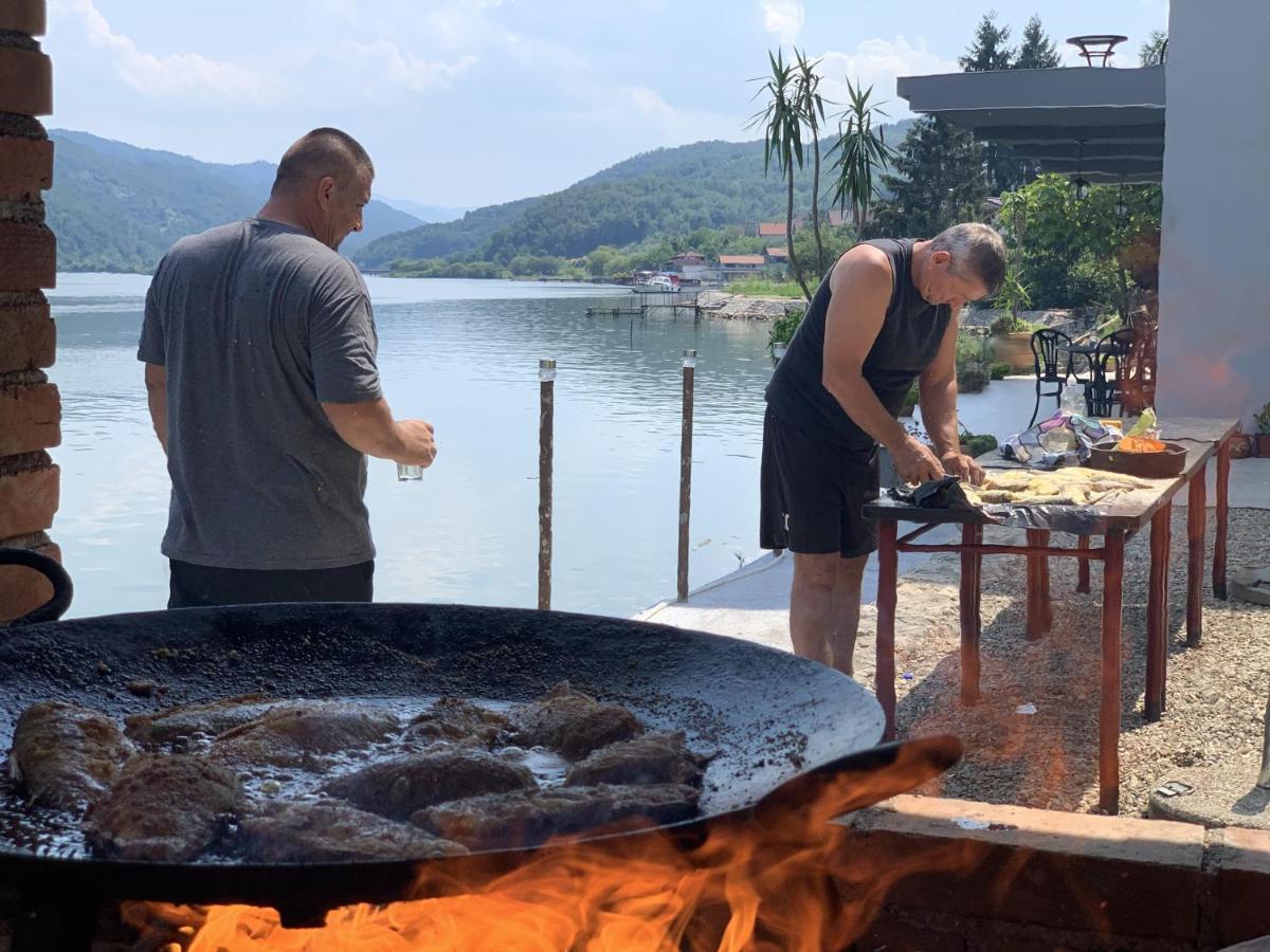 Dunavska Vila Milosavljevic Donji Milanovac Bagian luar foto