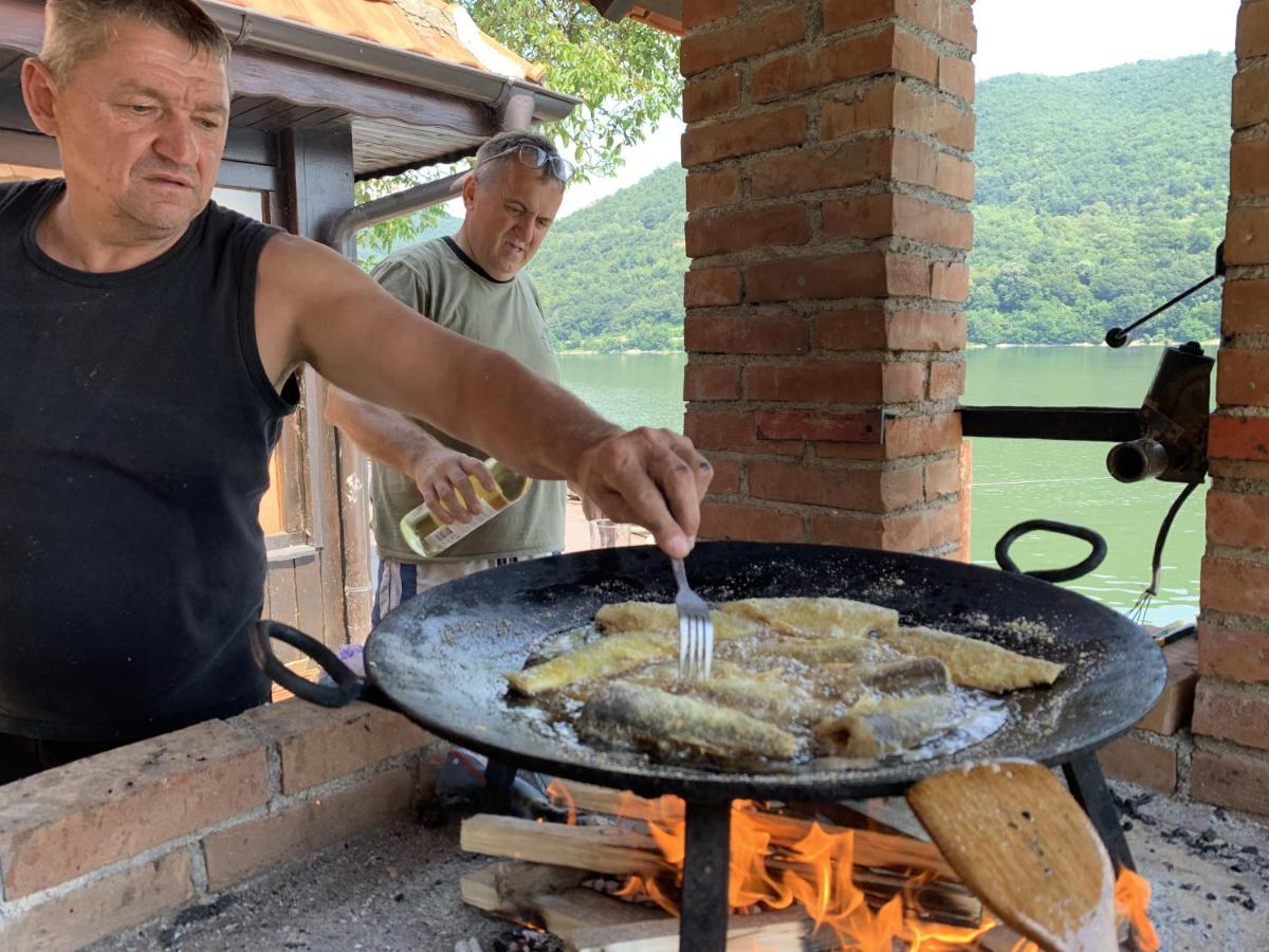 Dunavska Vila Milosavljevic Donji Milanovac Bagian luar foto
