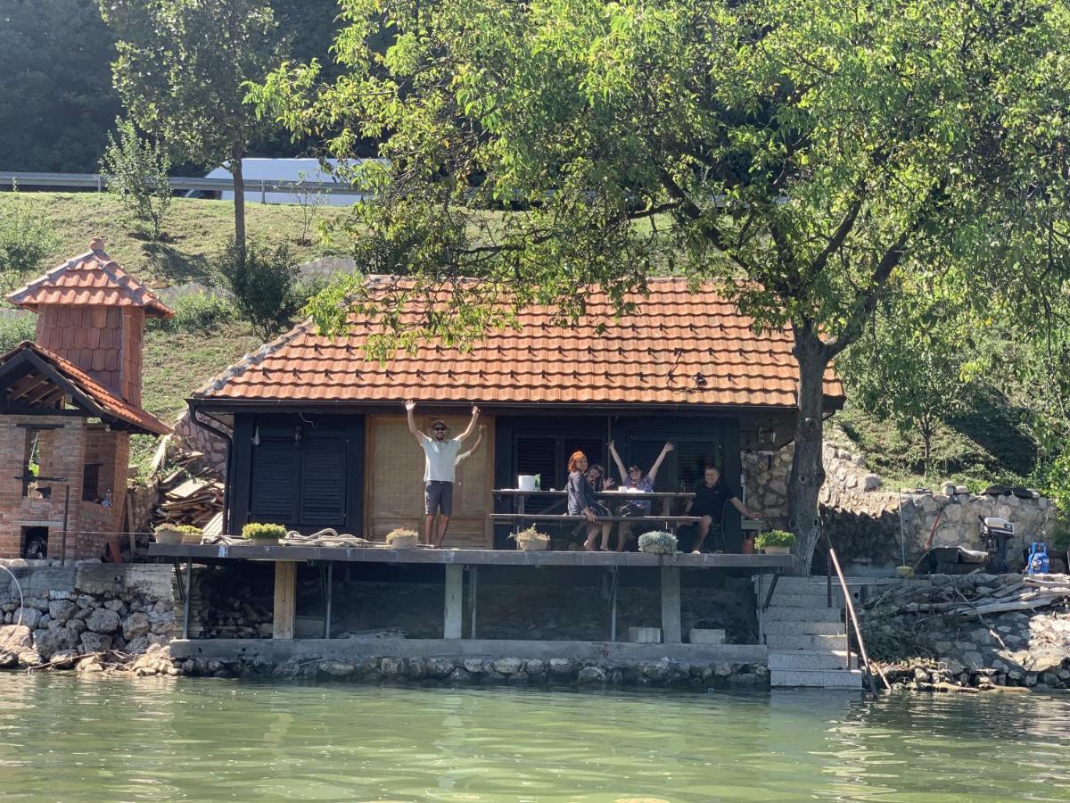 Dunavska Vila Milosavljevic Donji Milanovac Bagian luar foto