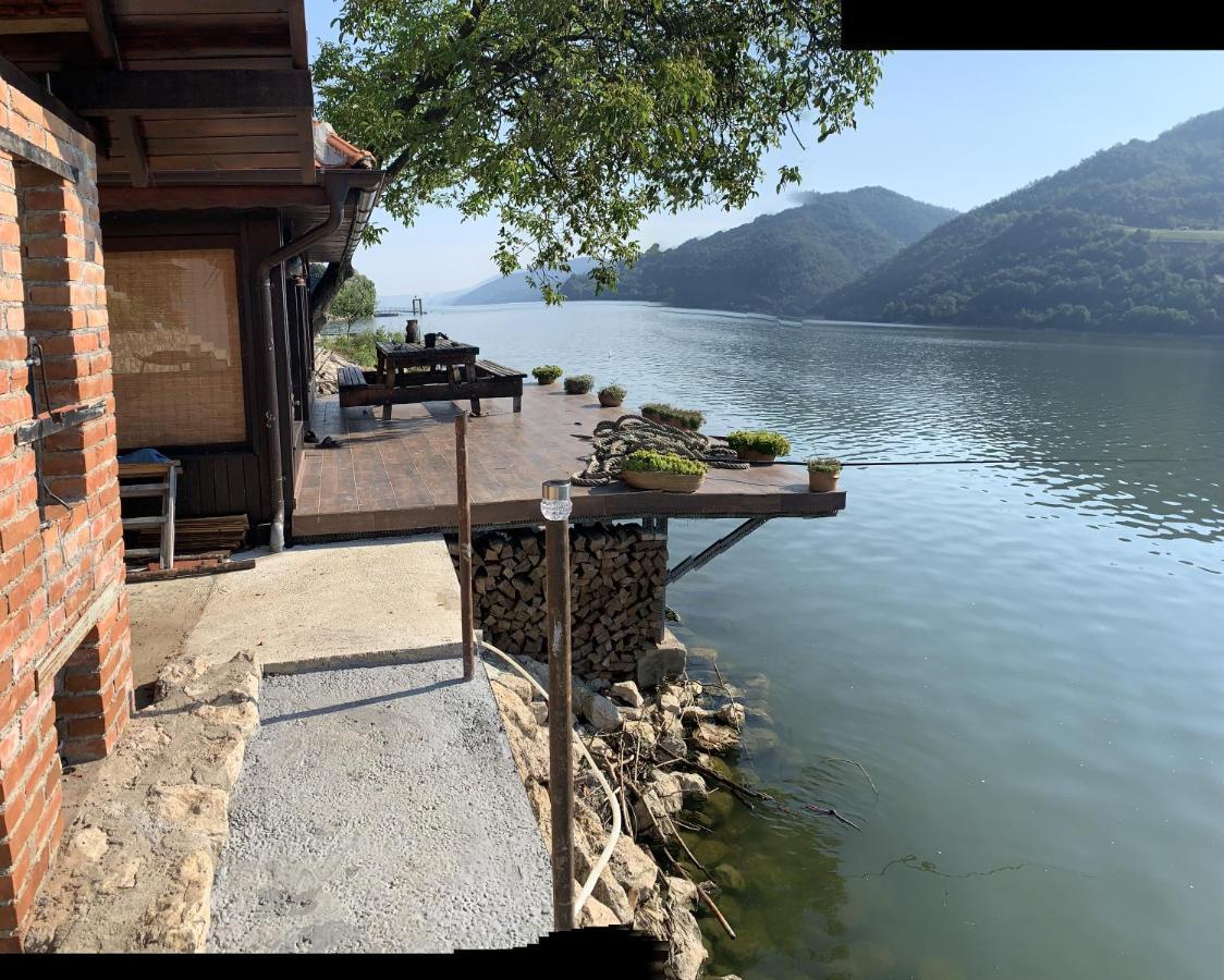Dunavska Vila Milosavljevic Donji Milanovac Bagian luar foto