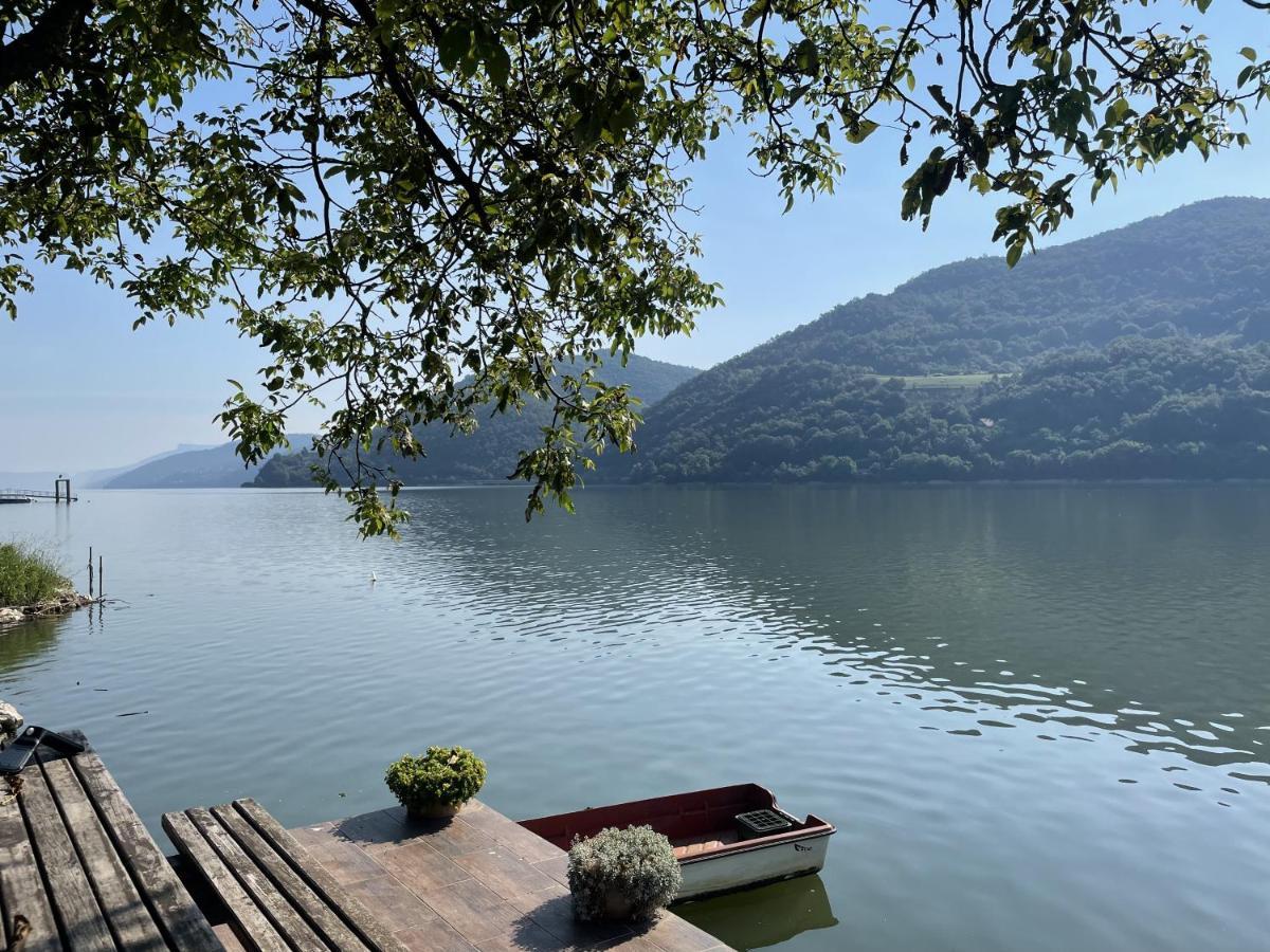 Dunavska Vila Milosavljevic Donji Milanovac Bagian luar foto