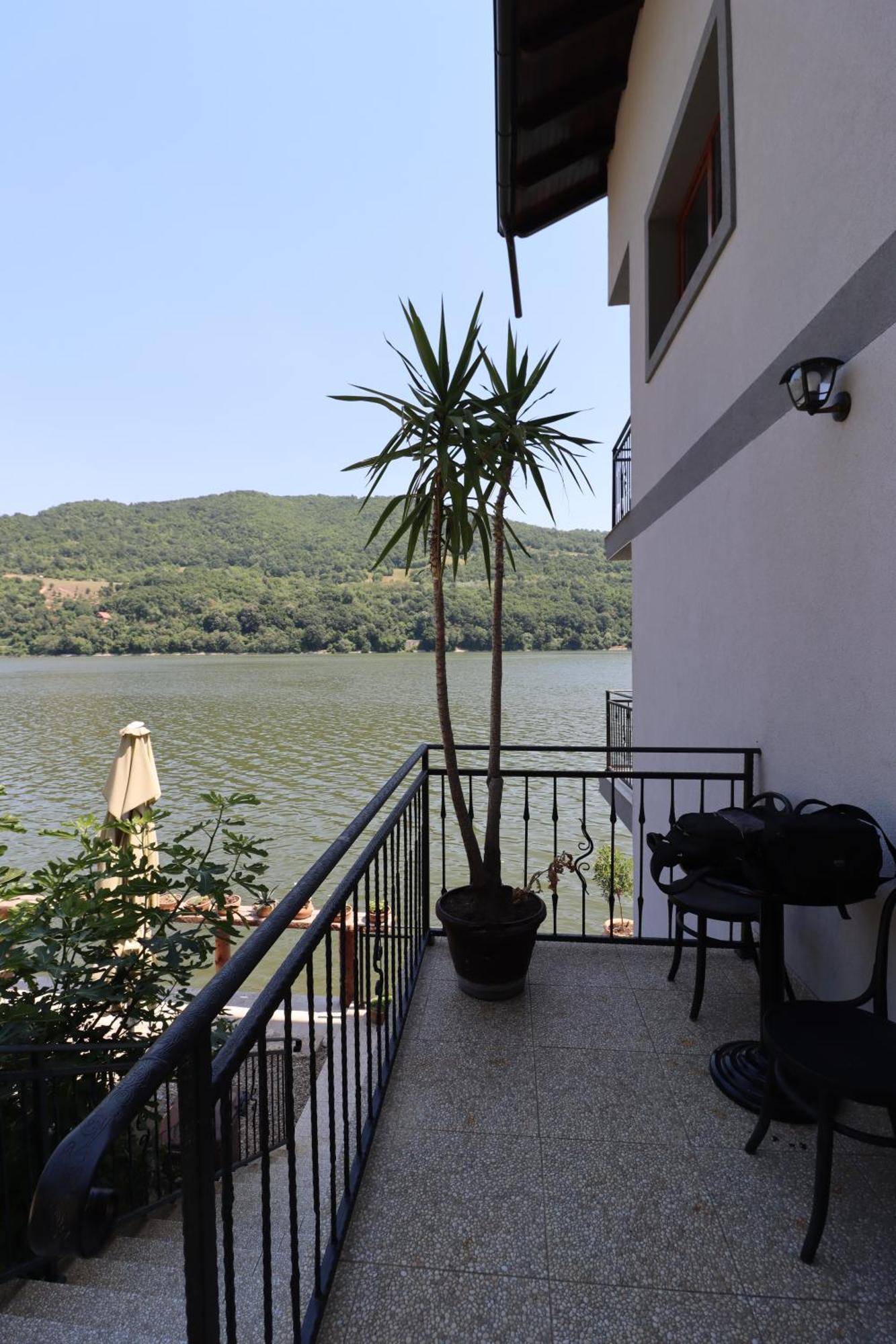 Dunavska Vila Milosavljevic Donji Milanovac Bagian luar foto