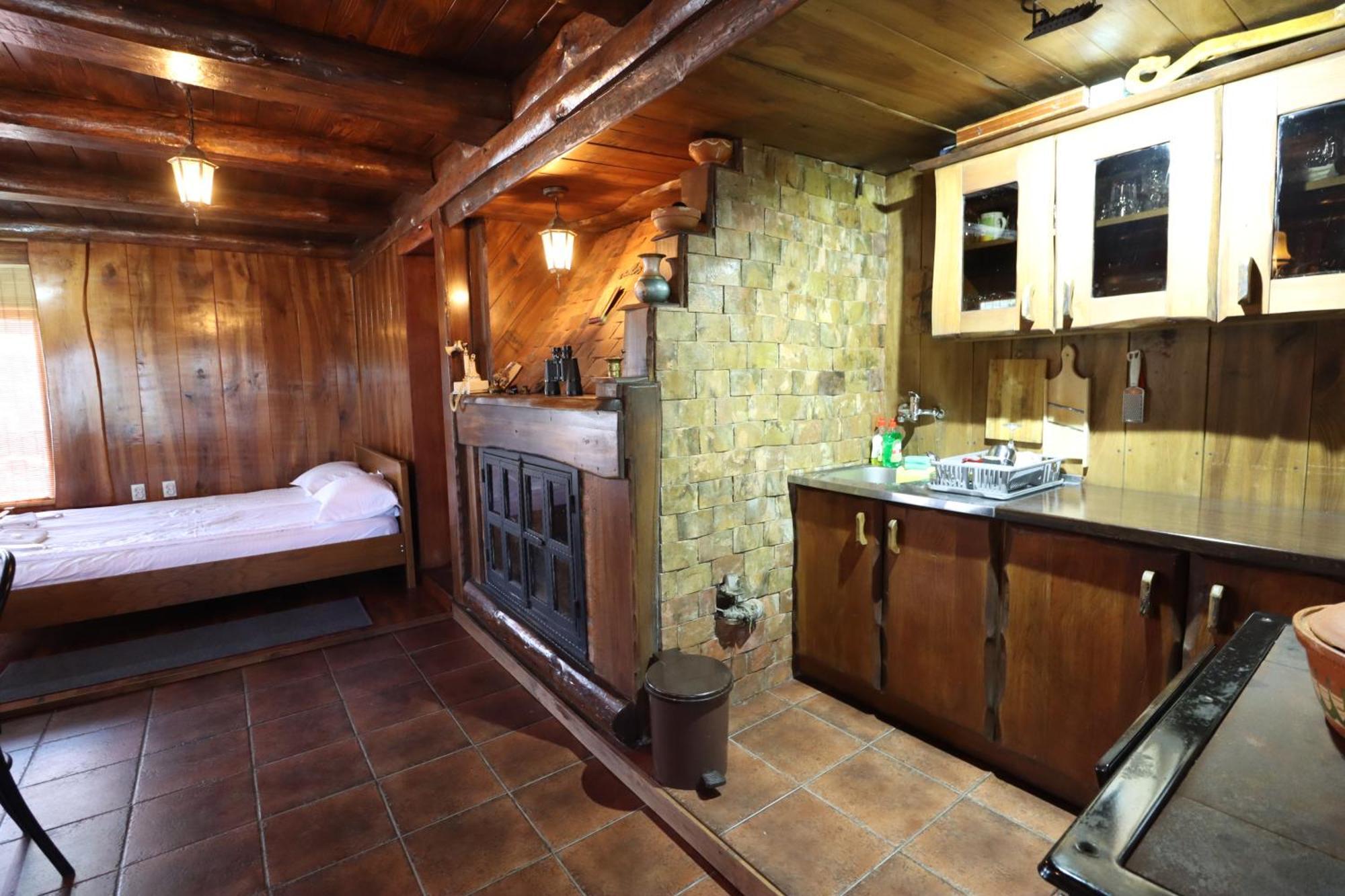 Dunavska Vila Milosavljevic Donji Milanovac Bagian luar foto