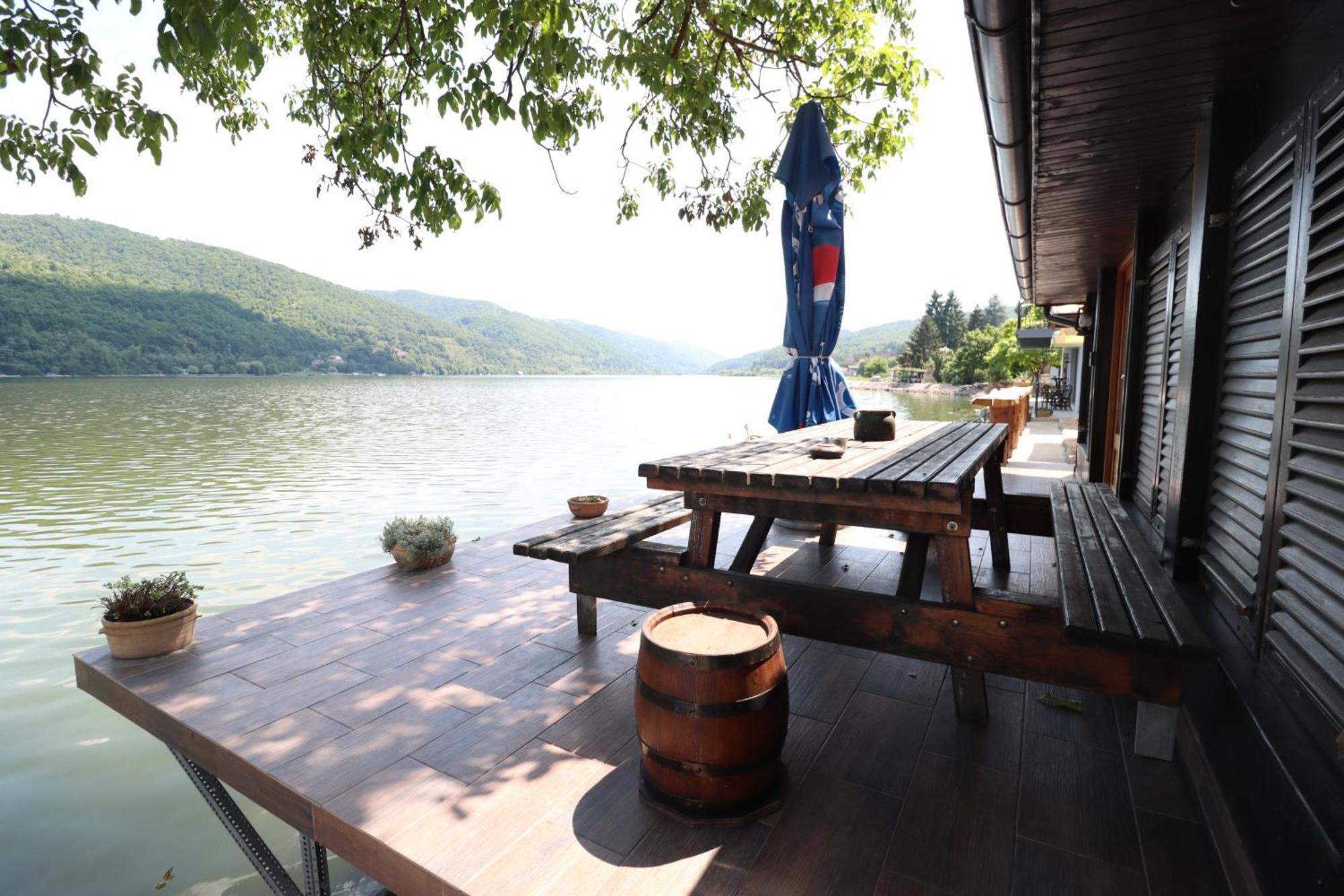 Dunavska Vila Milosavljevic Donji Milanovac Bagian luar foto